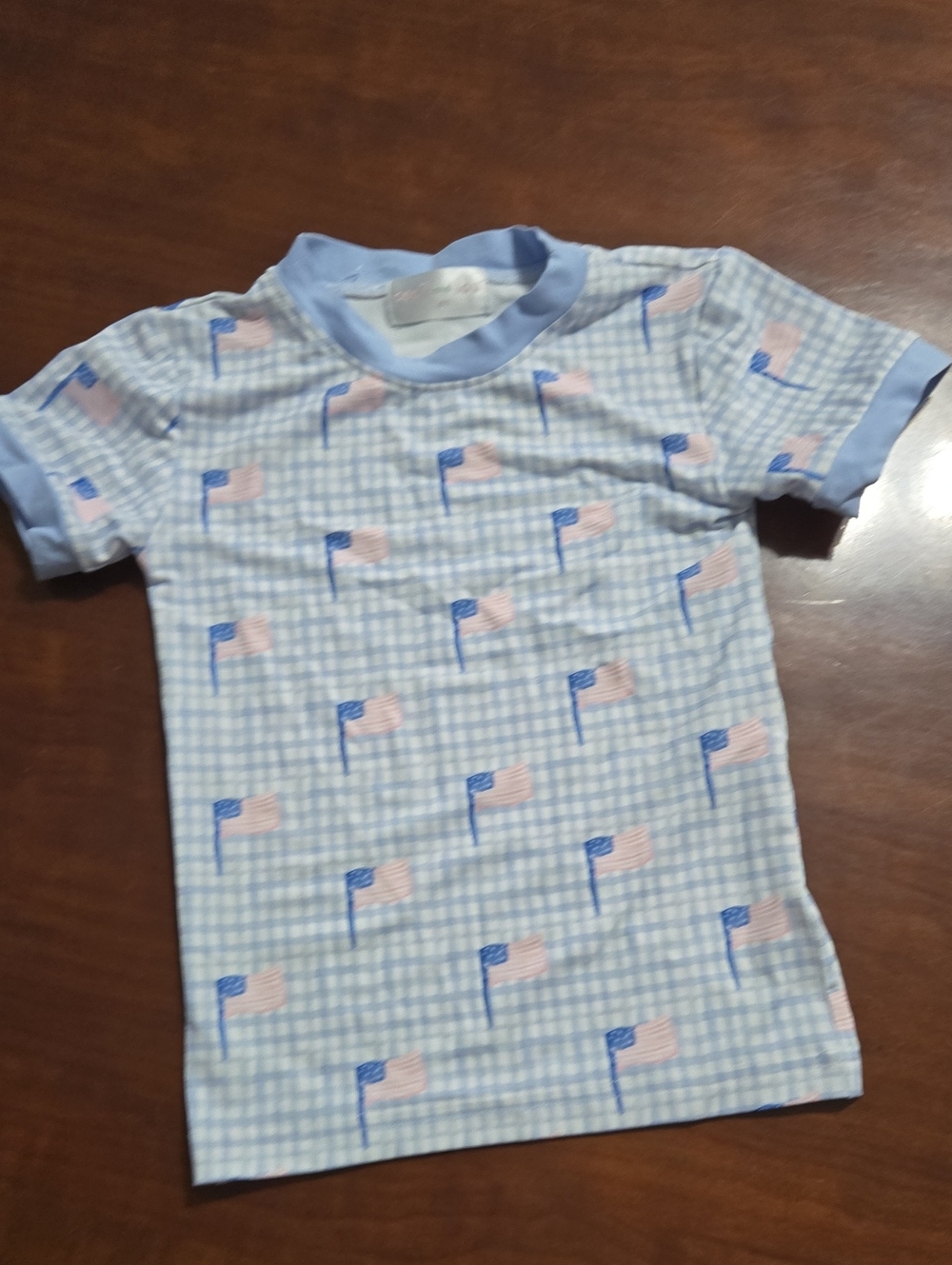 Cecil And Lou Kids Light Blue Gingham Flag Tee 4t
